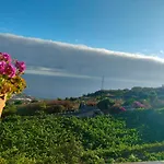 Апартаменты Vinedos Verdes *