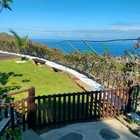 Vinedos Verdes * La Guancha