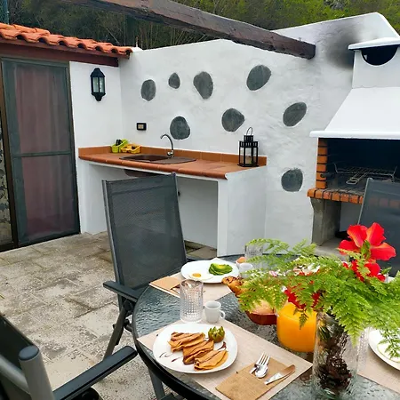 Vinedos Verdes La Guancha