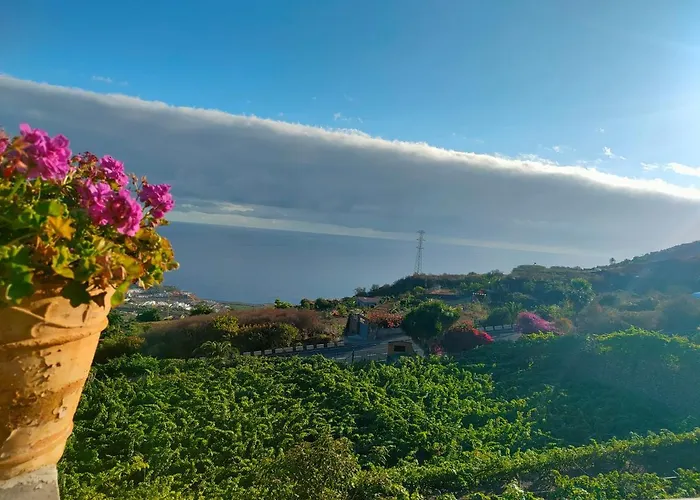 Апартаменты Vinedos Verdes *