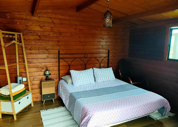 Vinedos Verdes La Guancha