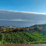 Vinedos Verdes Lejlighed La Guancha