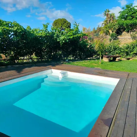 Vinedos Verdes La Guancha