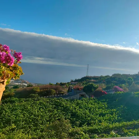 Apartmán Vinedos Verdes *