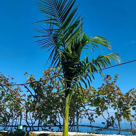 Vinedos Verdes Apartamento