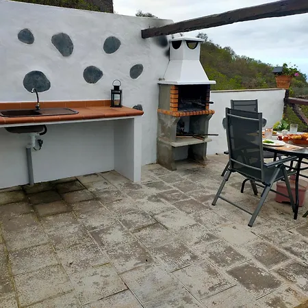 Vinedos Verdes La Guancha