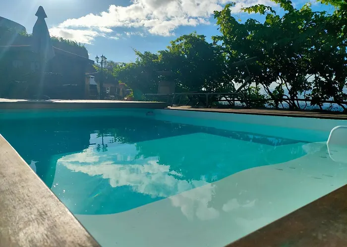 Vinedos Verdes * La Guancha