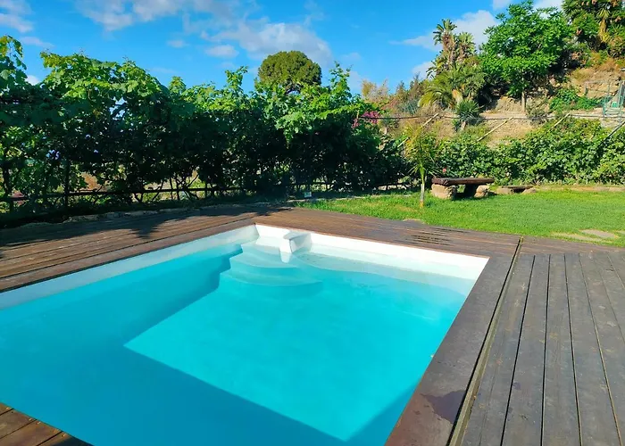 Vinedos Verdes La Guancha