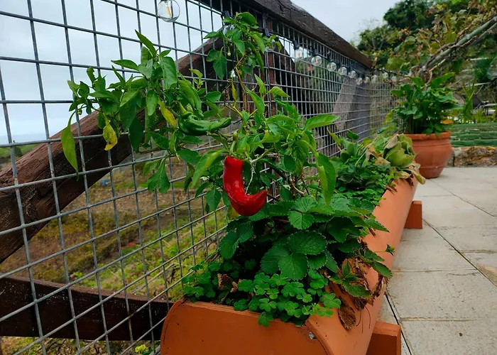 Vinedos Verdes Lägenhet *