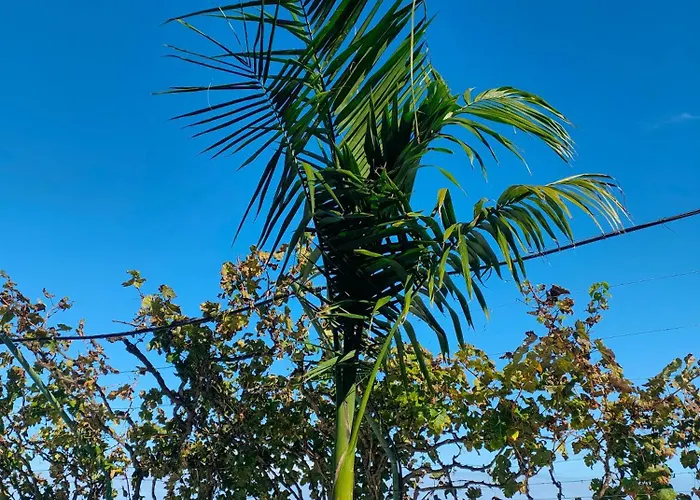 Vinedos Verdes Lägenhet